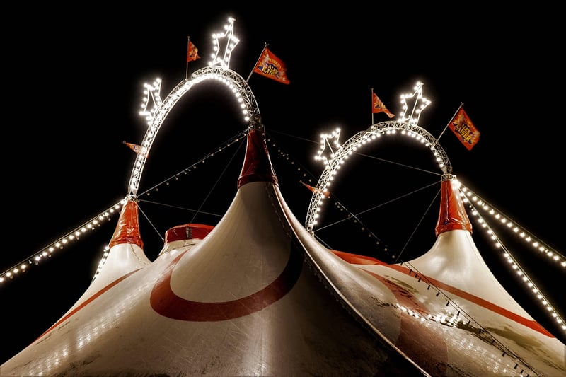 The Night Circus