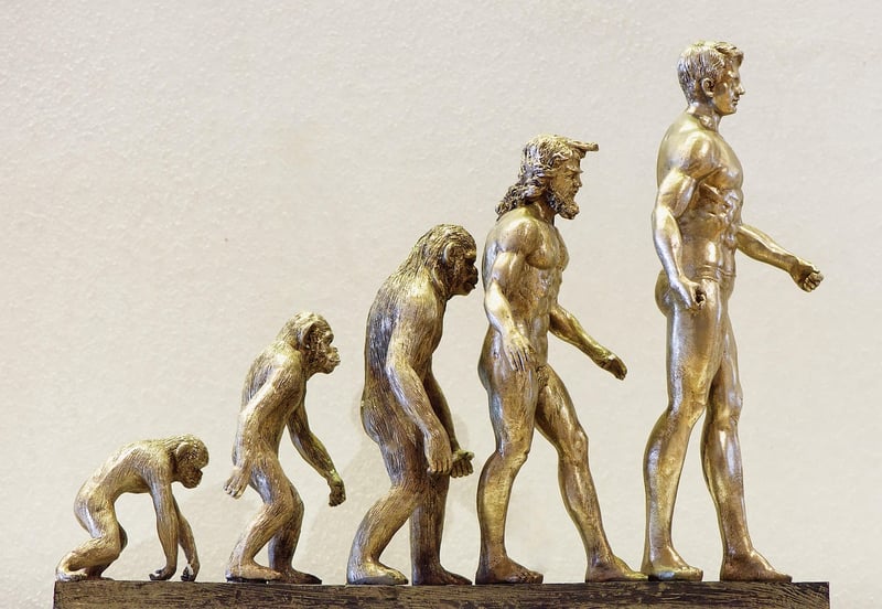 Sapiens